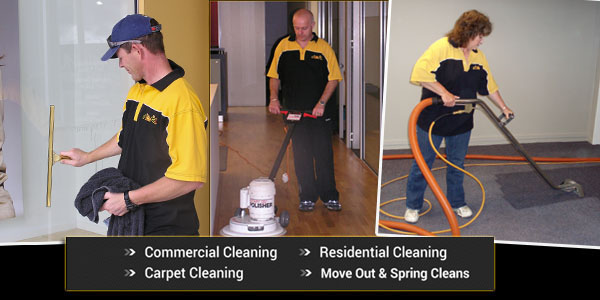christchurch cleaning