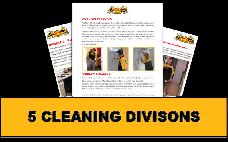 franchises for cleaning
