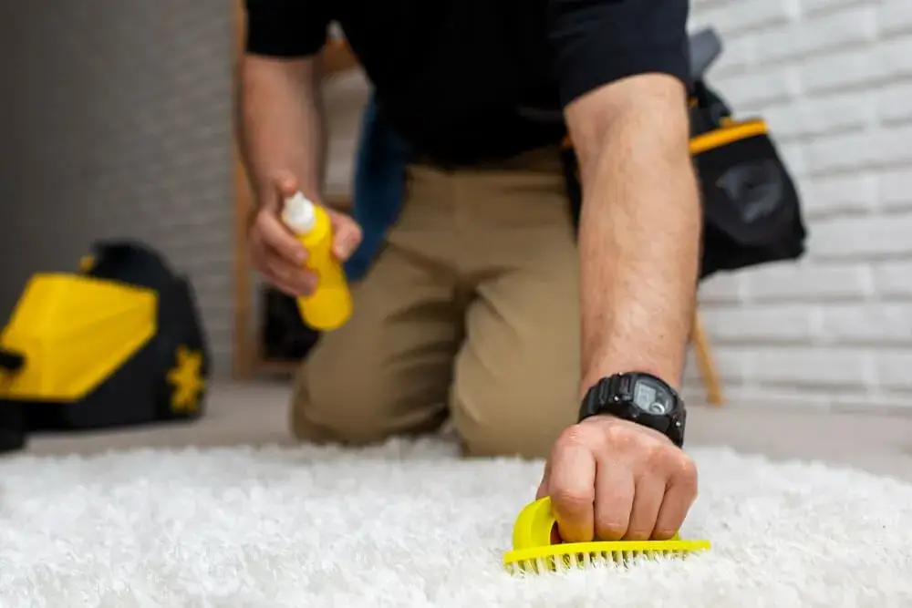 How Carpet Cleaning Can Prolong the Life of Your Office Flooring