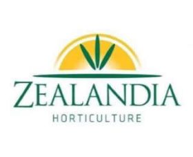 zealandia